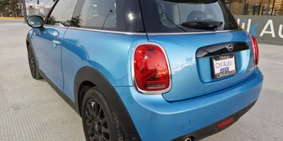 Mini Mini 2019