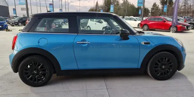 Mini Mini 2019