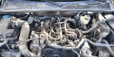 Volkswagen Amarok 2019