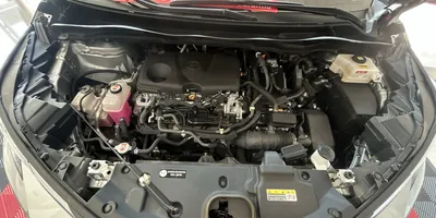 Toyota Sienna 2021