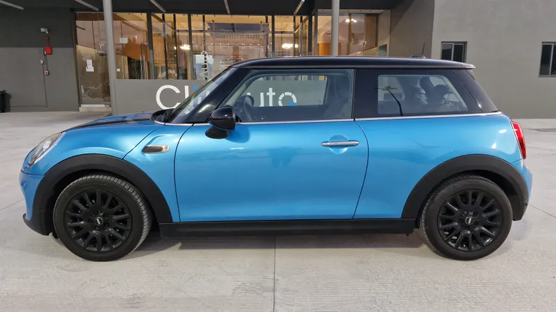 Mini Mini 2019