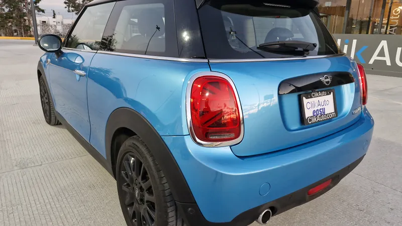 Mini Mini 2019