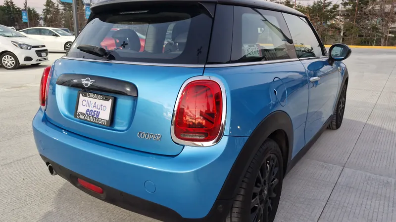 Mini Mini 2019