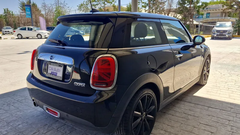 Mini Mini 2019