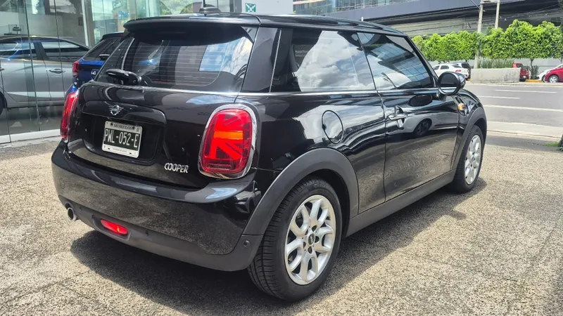 Mini Mini 2021