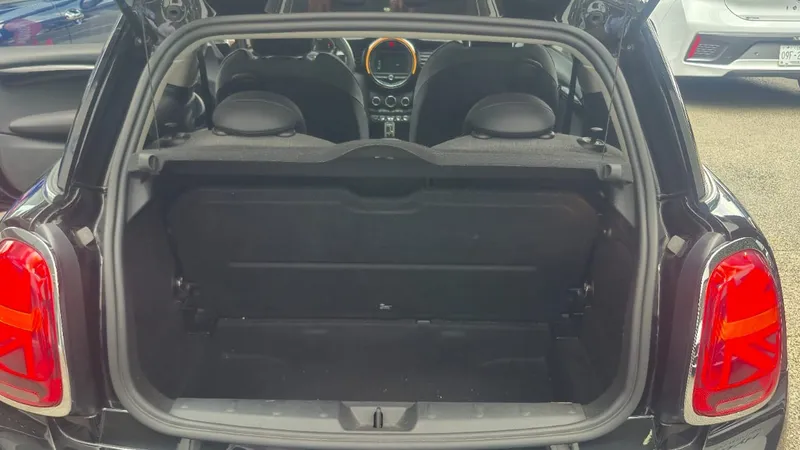 Mini Mini 2021
