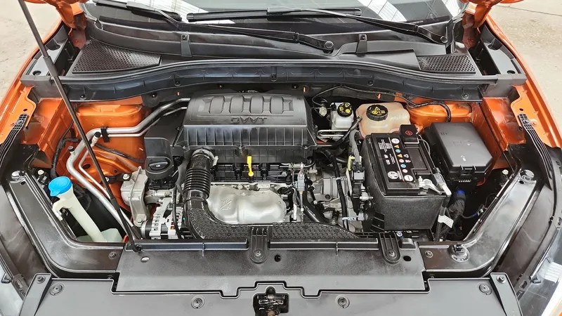 Mg Mgzs 2023